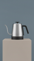 Stainless Steel Electric Kettle with Precision Spout