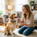 Smart Dog Bark Control Collar w/ Color Screen, Multi Stop Modes, 8-Level Sensitivity, IP67 Waterproof
