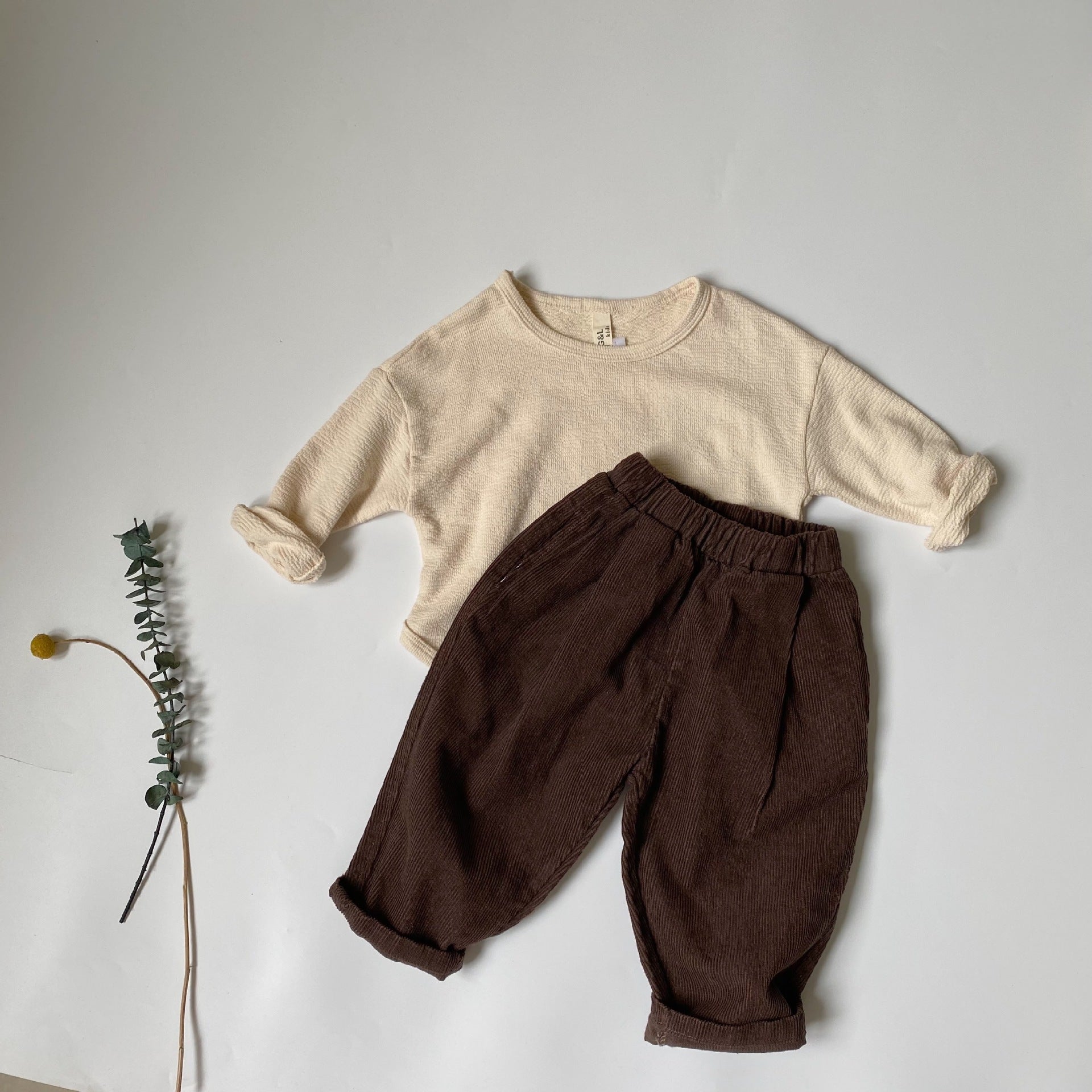 Solid color light core velvet pants