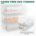 24 Egg Incubator Automatic Turner, Digital Hatchery Machine for Chicken Duck Quail, Touch Control Poultry Equipment